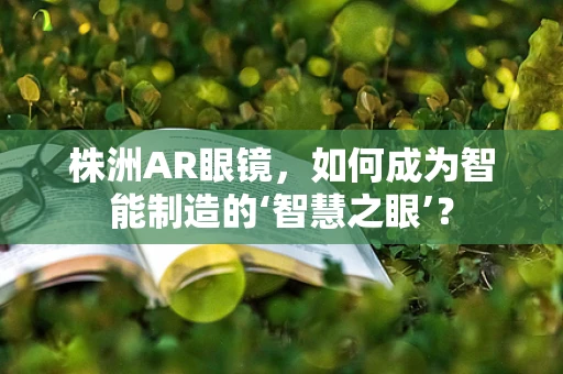 株洲AR眼镜，如何成为智能制造的‘智慧之眼’？