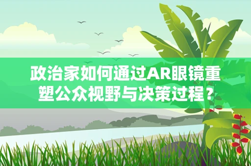 政治家如何通过AR眼镜重塑公众视野与决策过程？