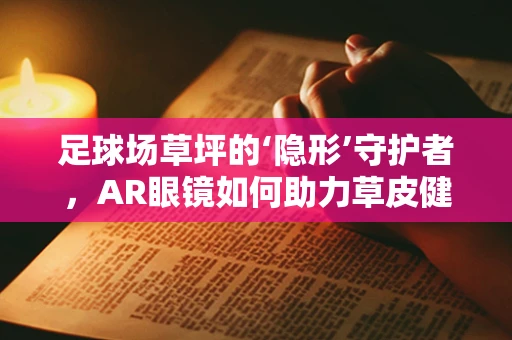 足球场草坪的‘隐形’守护者，AR眼镜如何助力草皮健康监测？