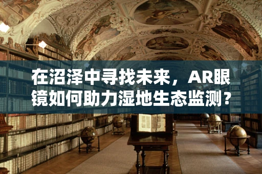 在沼泽中寻找未来，AR眼镜如何助力湿地生态监测？
