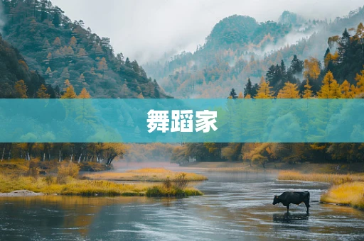 舞蹈家