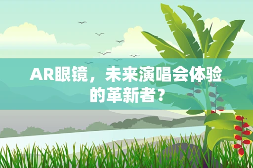 AR眼镜，未来演唱会体验的革新者？
