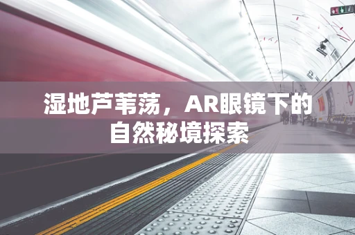 湿地芦苇荡，AR眼镜下的自然秘境探索