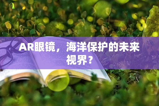 AR眼镜，海洋保护的未来视界？
