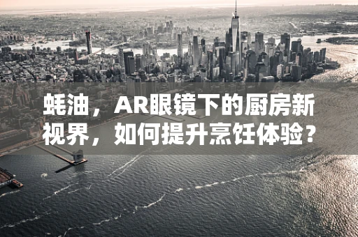 蚝油，AR眼镜下的厨房新视界，如何提升烹饪体验？