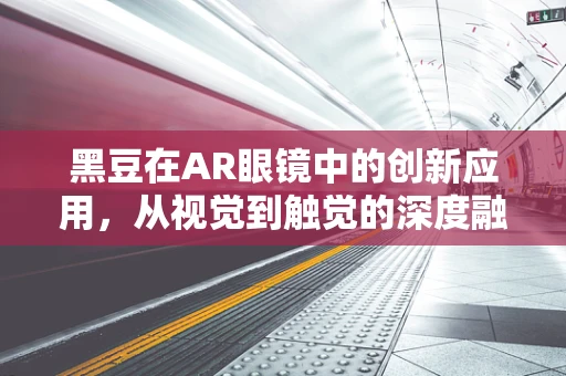 黑豆在AR眼镜中的创新应用，从视觉到触觉的深度融合