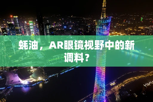 蚝油，AR眼镜视野中的新调料？