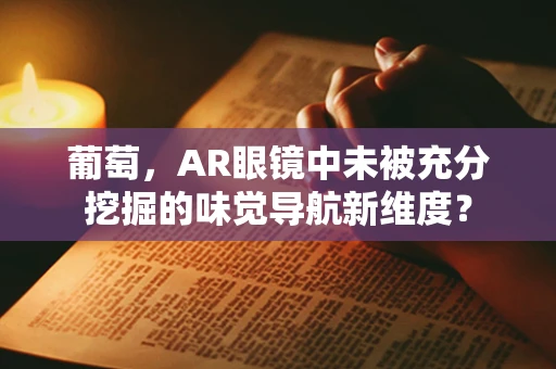 葡萄，AR眼镜中未被充分挖掘的味觉导航新维度？