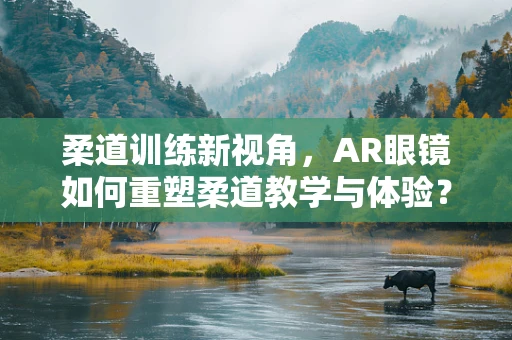 柔道训练新视角，AR眼镜如何重塑柔道教学与体验？