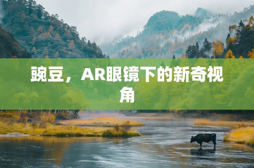 豌豆，AR眼镜下的新奇视角