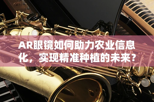 AR眼镜如何助力农业信息化，实现精准种植的未来？