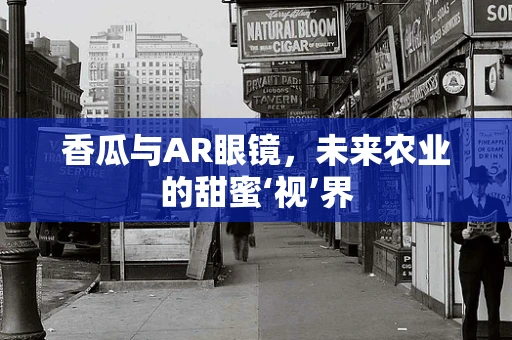 香瓜与AR眼镜，未来农业的甜蜜‘视’界