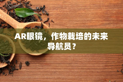 AR眼镜，作物栽培的未来导航员？