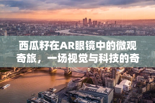 西瓜籽在AR眼镜中的微观奇旅，一场视觉与科技的奇妙融合