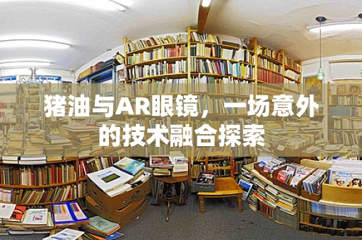 猪油与AR眼镜，一场意外的技术融合探索
