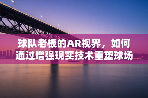 球队老板的AR视界，如何通过增强现实技术重塑球场管理？