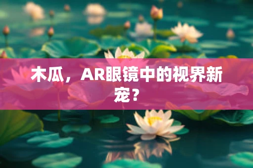木瓜，AR眼镜中的视界新宠？