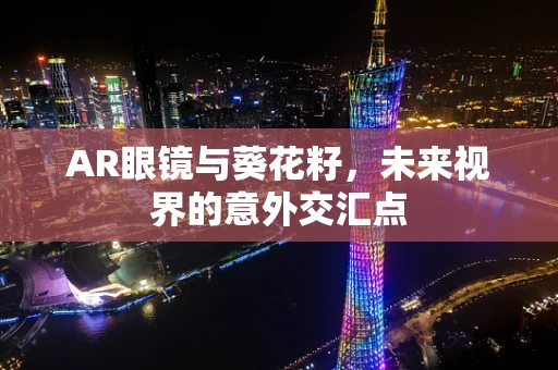 AR眼镜与葵花籽，未来视界的意外交汇点