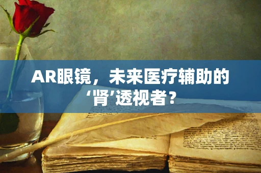 AR眼镜，未来医疗辅助的‘肾’透视者？
