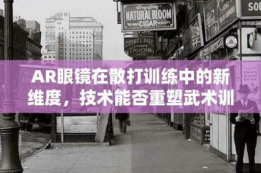 AR眼镜在散打训练中的新维度，技术能否重塑武术训练的未来？
