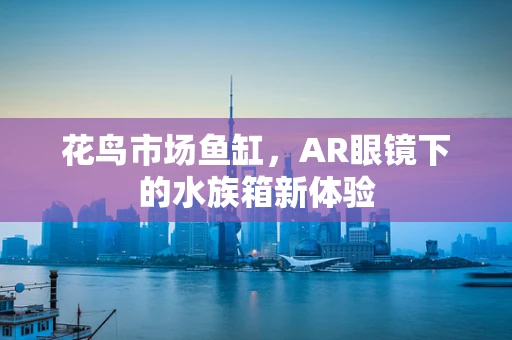 花鸟市场鱼缸，AR眼镜下的水族箱新体验