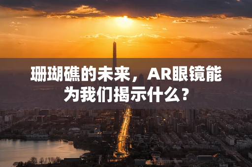 珊瑚礁的未来，AR眼镜能为我们揭示什么？