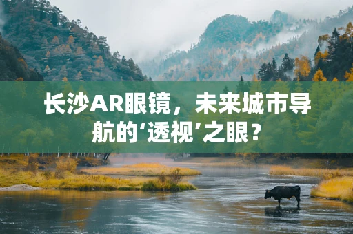 长沙AR眼镜，未来城市导航的‘透视’之眼？