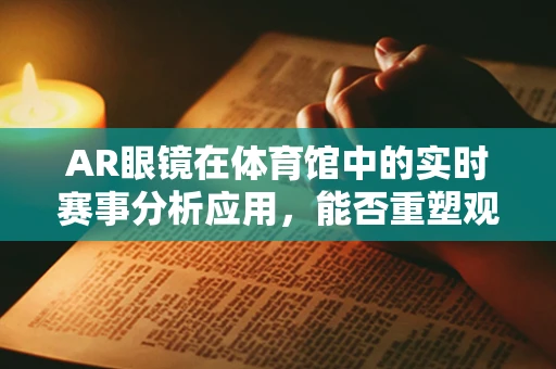 AR眼镜在体育馆中的实时赛事分析应用，能否重塑观赛体验？