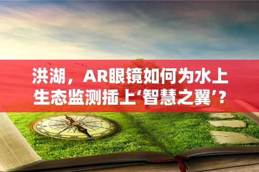 洪湖，AR眼镜如何为水上生态监测插上‘智慧之翼’？