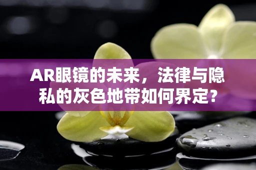 AR眼镜的未来，法律与隐私的灰色地带如何界定？