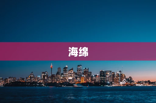 海绵