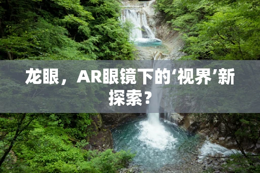 龙眼，AR眼镜下的‘视界’新探索？
