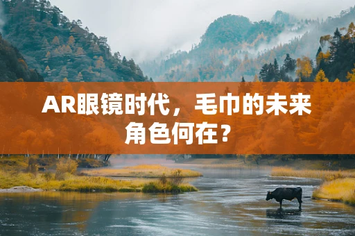 AR眼镜时代，毛巾的未来角色何在？