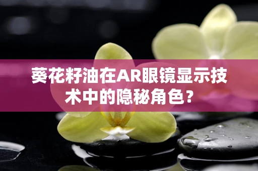 葵花籽油在AR眼镜显示技术中的隐秘角色？