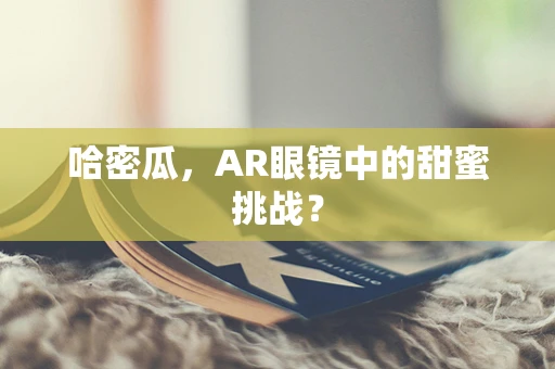 哈密瓜，AR眼镜中的甜蜜挑战？