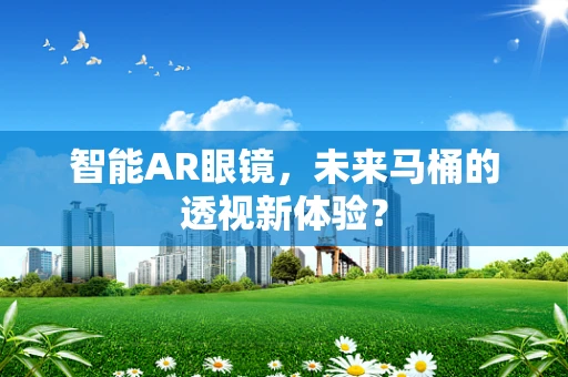 智能AR眼镜，未来马桶的透视新体验？