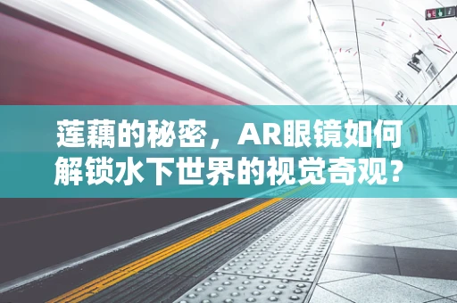 莲藕的秘密，AR眼镜如何解锁水下世界的视觉奇观？