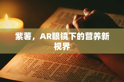 紫薯，AR眼镜下的营养新视界