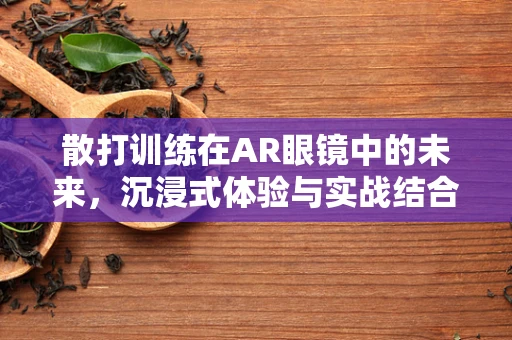 散打训练在AR眼镜中的未来，沉浸式体验与实战结合的挑战？