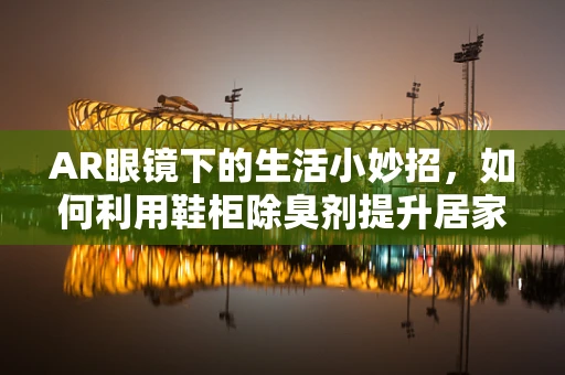 AR眼镜下的生活小妙招，如何利用鞋柜除臭剂提升居家体验？