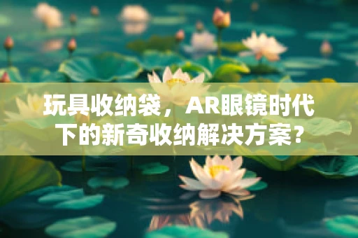 玩具收纳袋，AR眼镜时代下的新奇收纳解决方案？