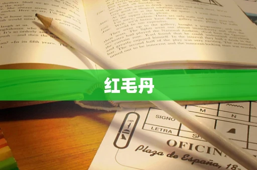 红毛丹
