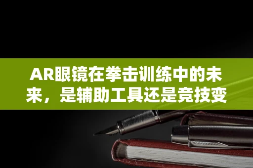 AR眼镜在拳击训练中的未来，是辅助工具还是竞技变革者？