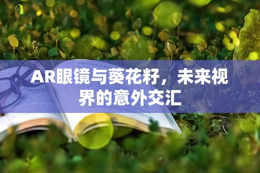 AR眼镜与葵花籽，未来视界的意外交汇
