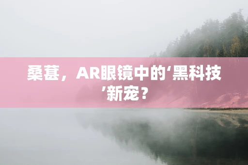 桑葚，AR眼镜中的‘黑科技’新宠？
