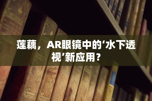 莲藕，AR眼镜中的‘水下透视’新应用？