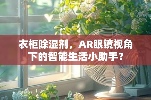 衣柜除湿剂，AR眼镜视角下的智能生活小助手？