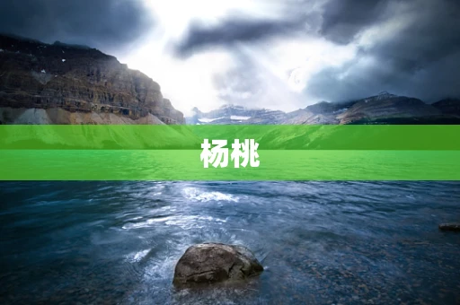 杨桃