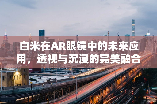 白米在AR眼镜中的未来应用，透视与沉浸的完美融合？