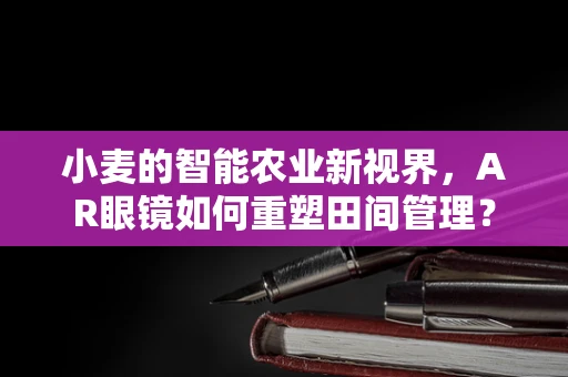 小麦的智能农业新视界，AR眼镜如何重塑田间管理？